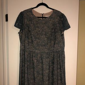 Ann Taylor Loft Dress